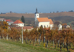 Janezic Stanko5