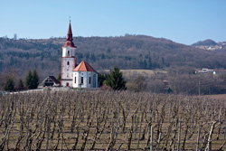 Bojanc Krizina3