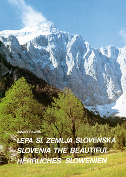 Ravnik Janko5