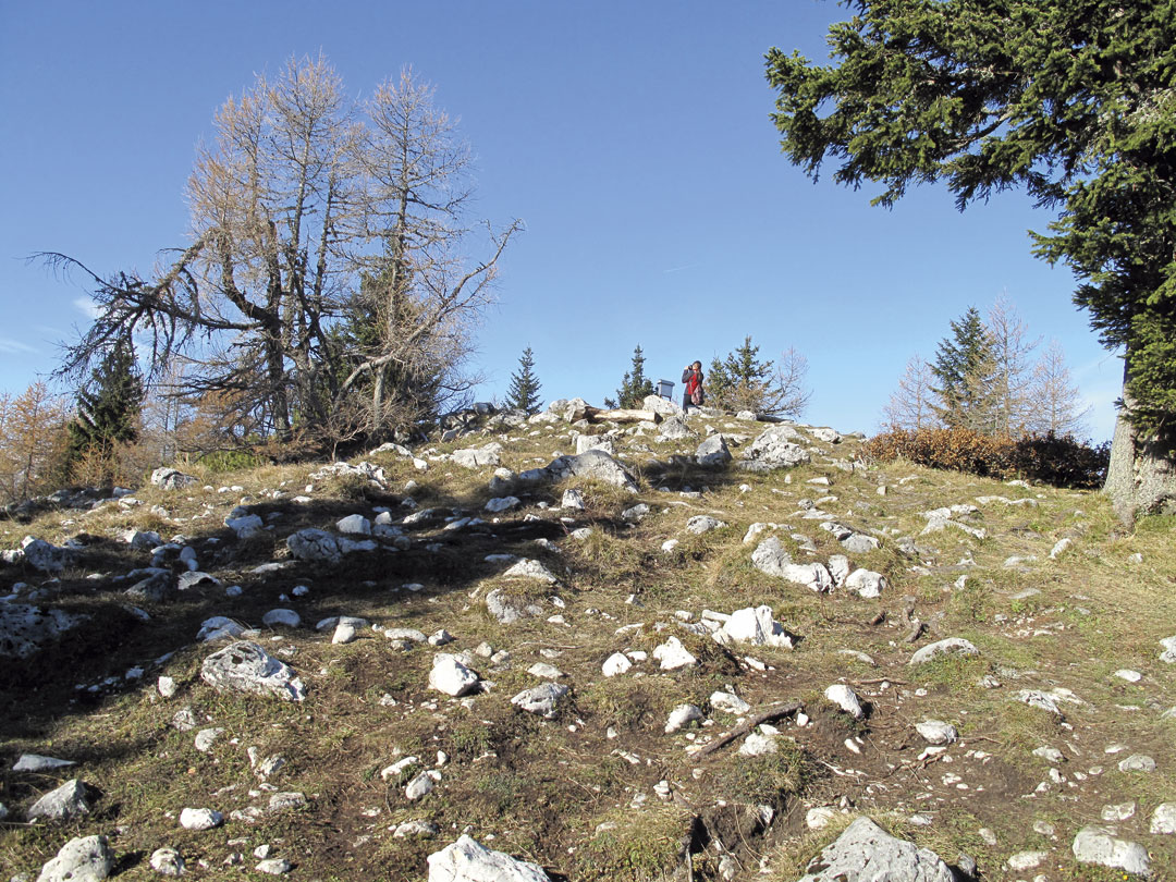 201112 dobrca 02