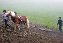 zgodba4 03 2007