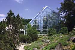 botanicni vrt3