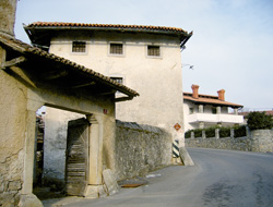 Mahnic Anton1
