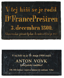 Vovk Anton4
