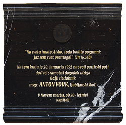 Vovk Anton7