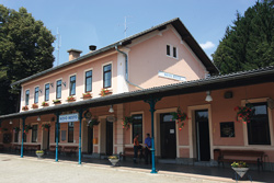 Vovk Anton8