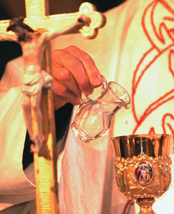 to-je-moja-kri