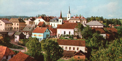 Belicic Vinko1