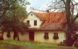 Gnidovec Janez3