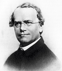 20 07 1822 Gregor Johan Mendel