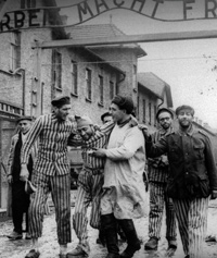 27 01 1945 osvoboditev Auschwitza