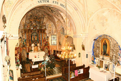 Mesko Ksaver7