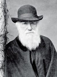 19 04 1882 Charles Darwin