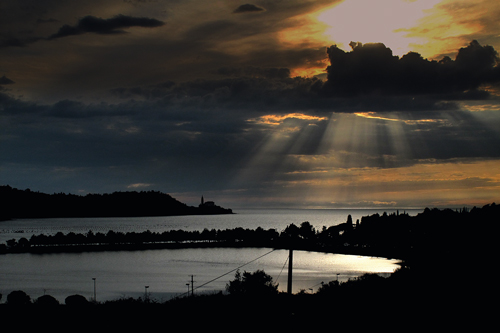 VS-kakor-sonce1