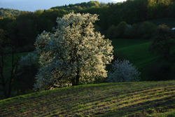 grzan 04 2014