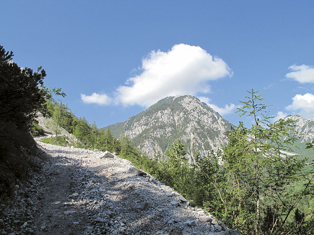 201407 kosutica 02