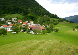 Drekonja Ciril2