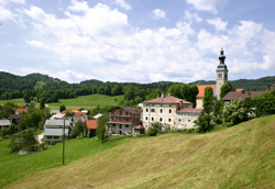 Drekonja Ciril3