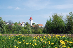 Pucelj Janez1
