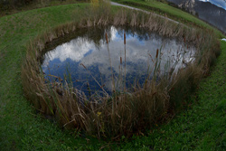povejmo z zgodbo 02 2015a
