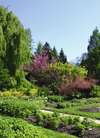 11 07 1810 odprtje botanicnega vrta