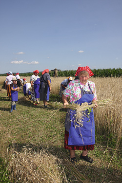 na kratko 07 2015b