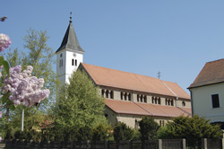 turnisce01