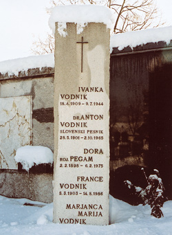 Vodnik Anton5