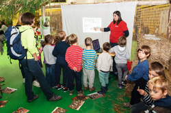 zanimivosti 11 2015mis6