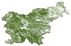 gozdovi za ljudi3