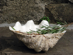jakobova pot 004