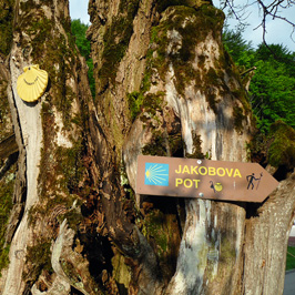 jakobova pot 009e