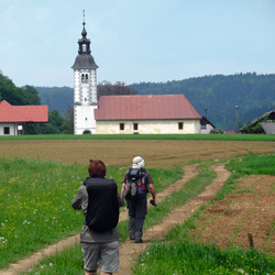 jakobova pot 012c