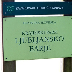 jakobova pot 015a