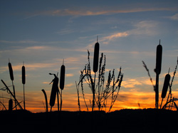 pismo 02 2012a