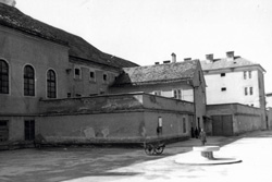 Zavrsnik Izidor6