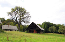 zgodba1 10 2012