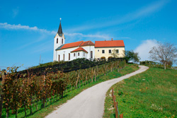 Lurd na Slovenskem05