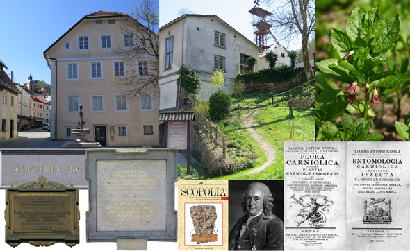 Scopoli Antonio2