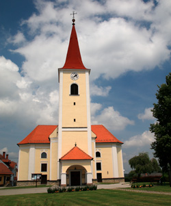 tomaz02
