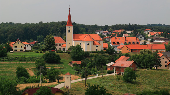 tomaz05