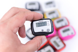 NiZ 10 2018d
