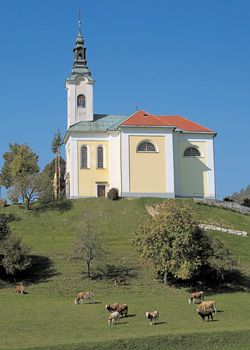 neza03