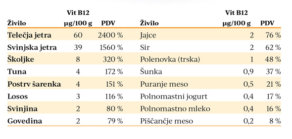NiZ 02 2019t