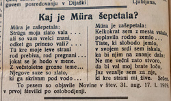 Zver Stanislav4
