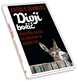 Divji božič