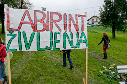 Mladi pot do vere03