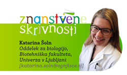 znanstvene skrivnosti12 2019katarina