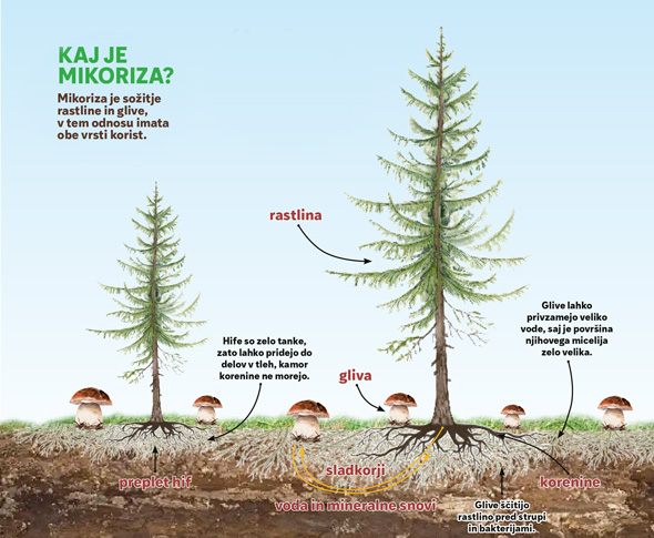 znanstvene skrivnosti10 2021b