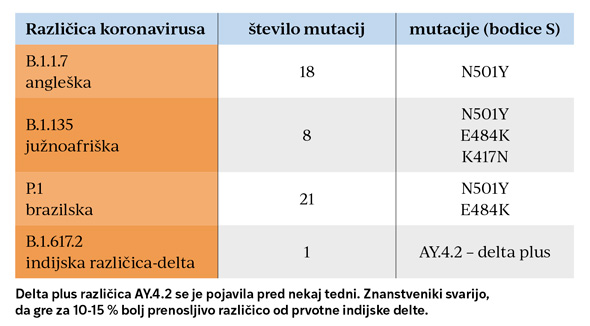 NiZ 11 2021d